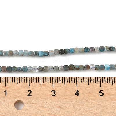 Natural Apatite Beads Strands G-RM241221-K24-1