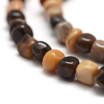 Natural Petrified Wood Beads Strands G-F465-20B-1