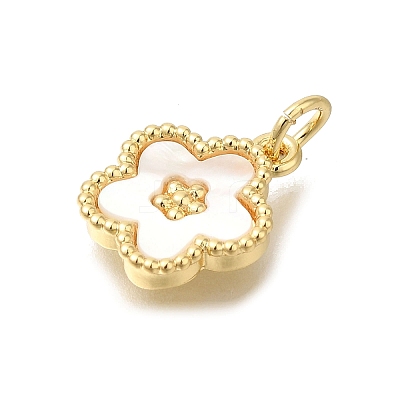 Brass Shell Pendants KK-R002-12G-1