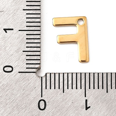 304 Stainless Steel Charms STAS-B093-12G-F-1