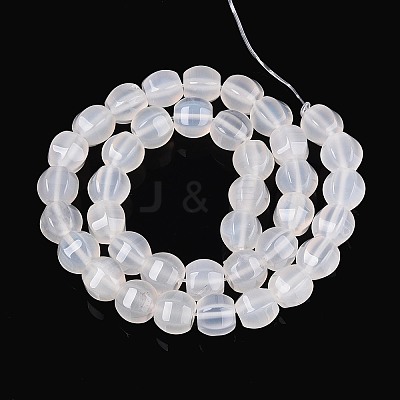 Natural Agate Beads Strands G-T144-50A-01-1