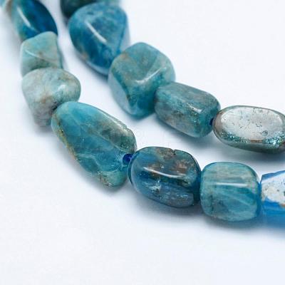 Natural Apatite Beads Strands G-K203-13-1