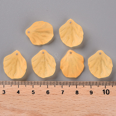 Transparent Frosted Acrylic Pendants MACR-S371-01A-719-1