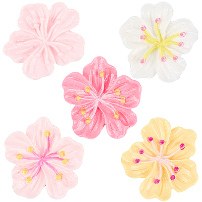 50Pcs 5 Colors Resin Cabochons OACR-SC0002-76-1