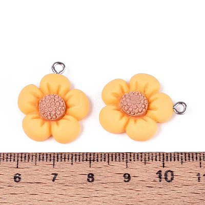 Resin Pendants RESI-C002-09-1