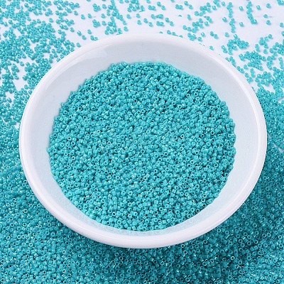 MIYUKI Delica Beads SEED-MY11-DB0658-1