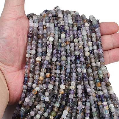 Natural Fluorite Beads Strands G-L628-D06-01-1