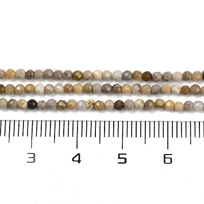 Natural Alashan Agate Beads Strands G-C181-B05-01-1