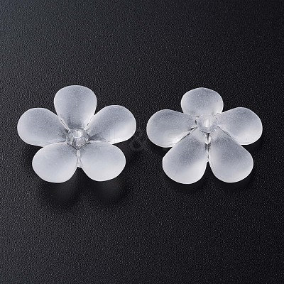 Transparent Acrylic Beads MACR-S373-116-D01-1
