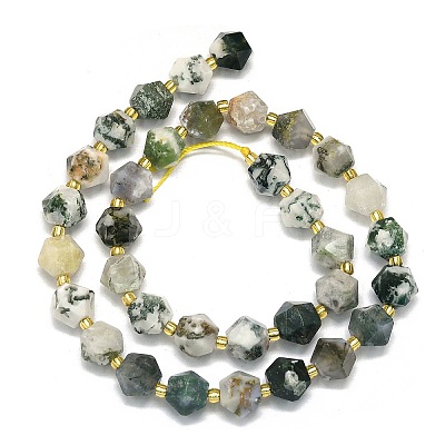 Natural Tree Agate Beads Strands G-I376-A36-01-1