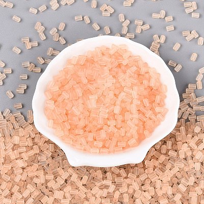 FGB Frosted Transparent Glass Seed Beads X-SEED-N013-05A-03-1