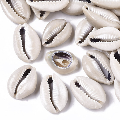 Natural Cowrie Shell Beads SSHEL-N034-33-1
