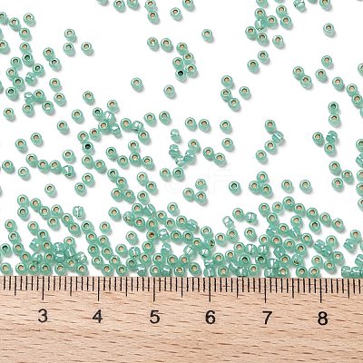 TOHO 11/0 Round Beads X-SEED-TR11-PF2119-1