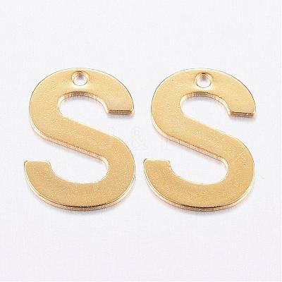 304 Stainless Steel Charms STAS-P141-S-1