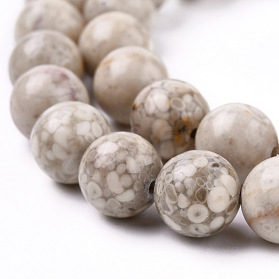 Natural Maifanite/Maifan Stone Beads Strands G-I187-10mm-01-1