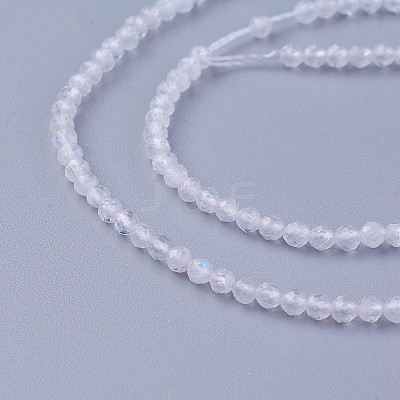 Natural Rainbow Moonstone Beads Strands G-F619-19-2mm-1