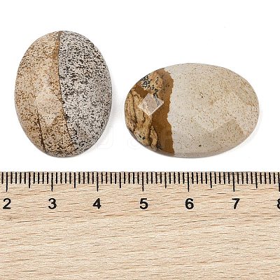 Natural Picture Jasper Cabochons G-Q186-01E-1