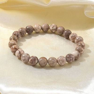 Natural Maifanite/Maifan Stone Bead Stretch Bracelets BJEW-K212-B-044-1