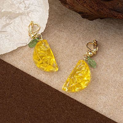 Resin & Plastic Clip-on Earrings FS-WG3D07D-02-1