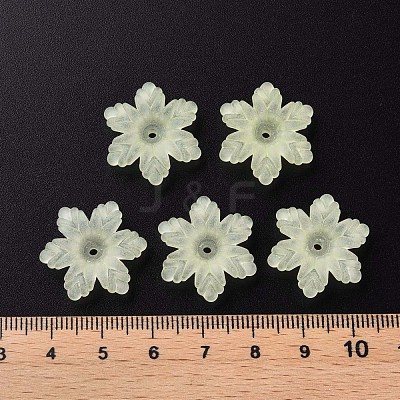 Transparent Acrylic Beads MACR-S373-117-D03-1