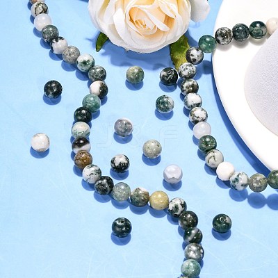 Natural Tree Agate Beads Strands G-H1633-8MM-1