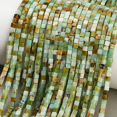 Natural Serpentine Beads Strands GG-CBA2498-A07-01-1