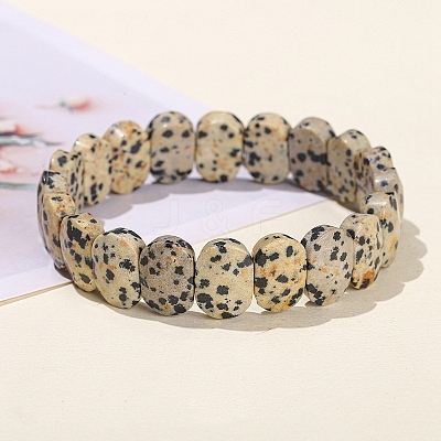 Natural Dalmatian Jasper Oval Bead Stretch Bracelets for Men Women PW-WG50701-08-1