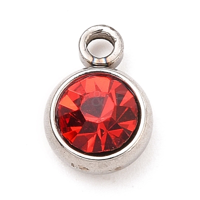 304 Stainless Steel Charms STAS-I165-04C-P-1