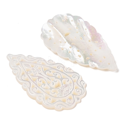 Natural White Shell Carved Cabochons SSHEL-C012-13-1