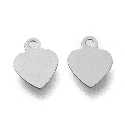 Non-Tarnish 304 Stainless Steel Charms STAS-K195-13P-1