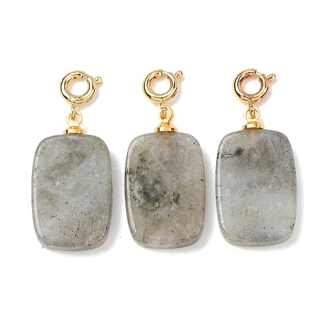 Natural Labradorite Pendant Decorations G-G461-01G-07-1