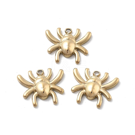 304 Stainless Steel Charms STAS-Z121-09G-1