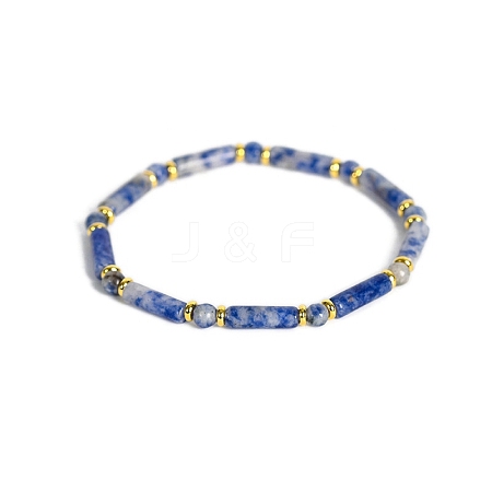 Natural Blue Spot Jasper Bead Stretch Bracelets PW-WG50993-03-1