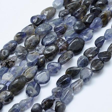 Natural Cordierite/Iolite/Dichroite Beads Strands G-K203-10-1
