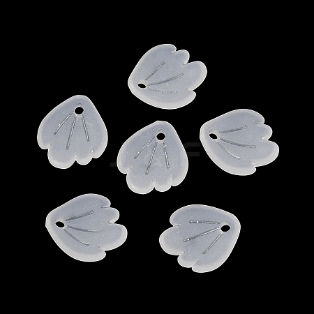 Frosted Acrylic Pendants SACR-F016-02B-1