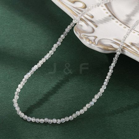 Natural Labradorite Beaded Necklaces NJEW-JN02492-07-1