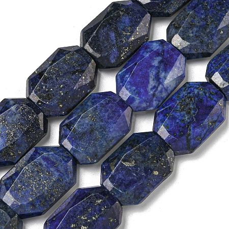 Natural Lapis Lazuli Beads Strands G-P544-B10-01-1