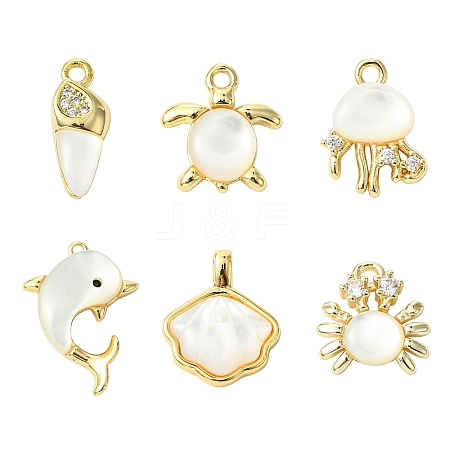 6Pcs 6 Styles Ocean Themeed Brass Pave Natural White Shell Pendants KK-CJ0003-66-1