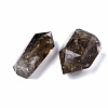 Natural Smoky Quartz Beads G-S359-216-2