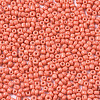 Glass Seed Beads SEED-S060-A-F419-3