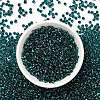 MIYUKI 3.4mm Drop Beads SEED-MY04-DP2425-3