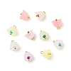 Transparent Acrylic Charms PALLOY-JF01603-02-1