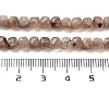 Natural Sunstone Beads Strands G-B093-B02-03-5