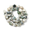 Natural Tree Agate Beads Strands G-U023-A15-01-4