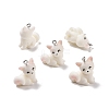 Opaque Resin Pendants LS-RESI-D057-17P-1