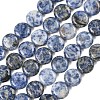 Natural Blue Spot Jasper Beads Strands G-L648-B08-15mm-3