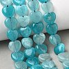 Natural Amazonite Beads Strands GG-D001-B01-10