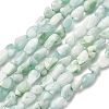 Natural Glass Beads Strands G-K395-A02-01-2