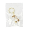 Iron Plastic Keychains KEYC-FZC0001-001C-G-8