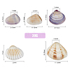 SUPERFINDINGS 5 Styles Shell Beads SHEL-FH0001-22-2